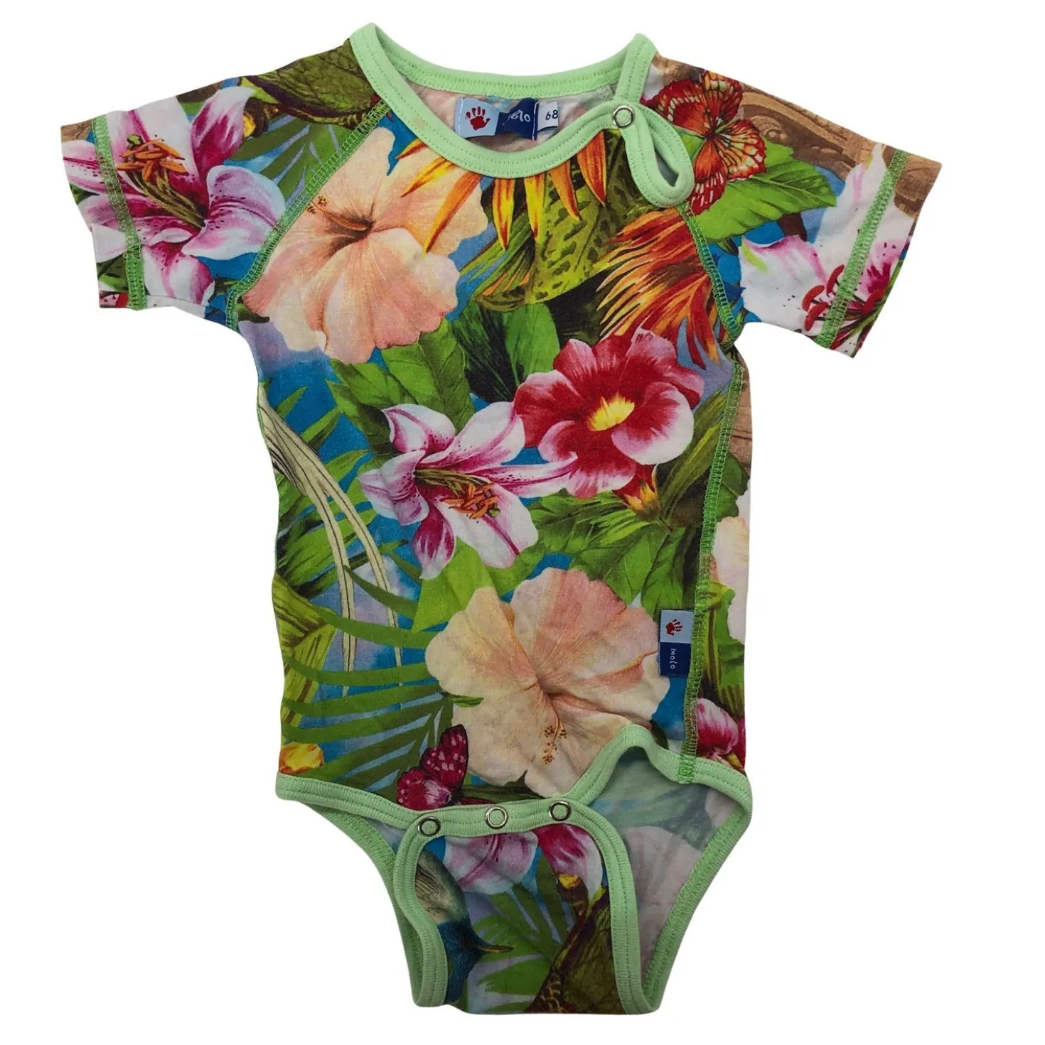 Body, koko 62 - 68